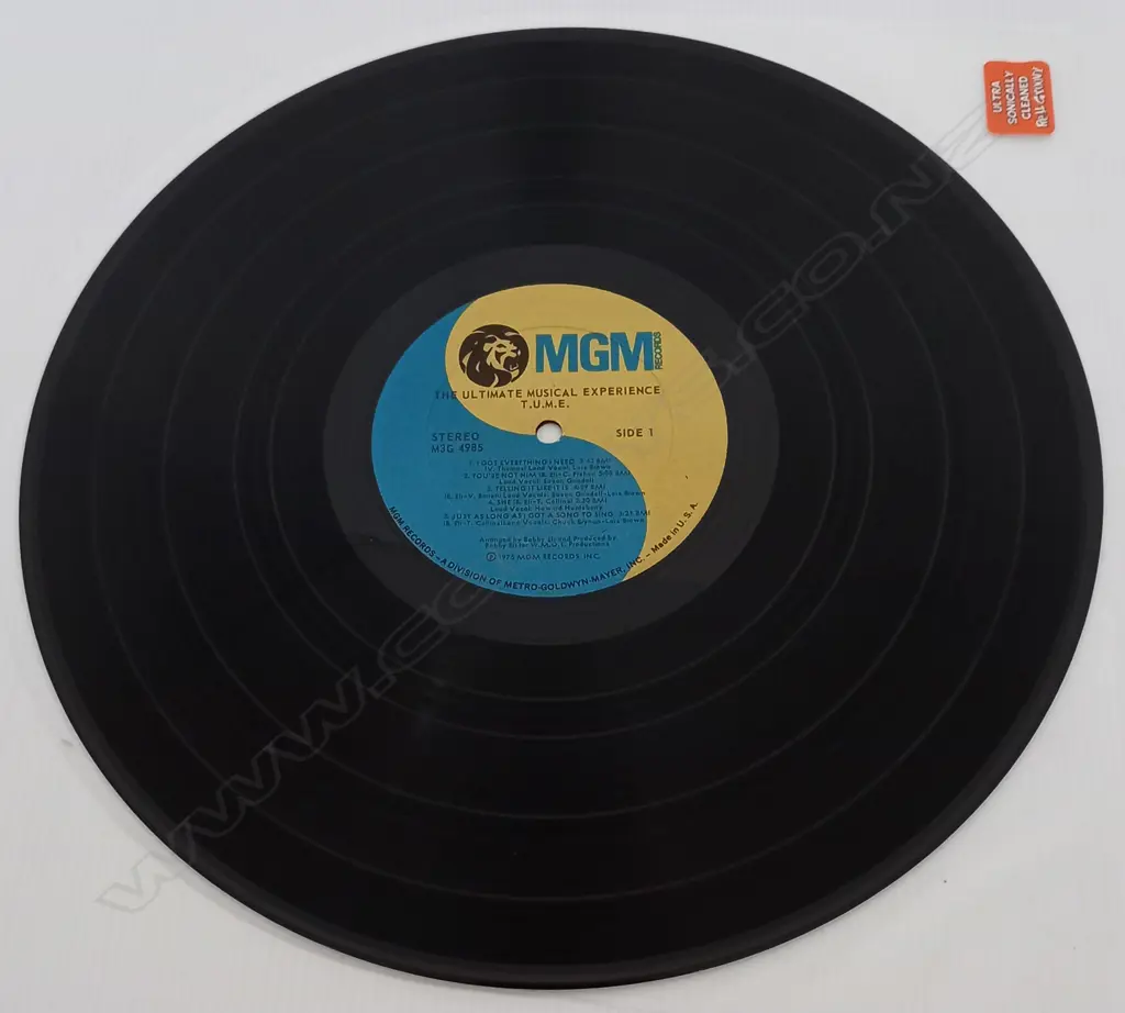 T.U.M.E., The Ultimate Musical Experience Image 1++